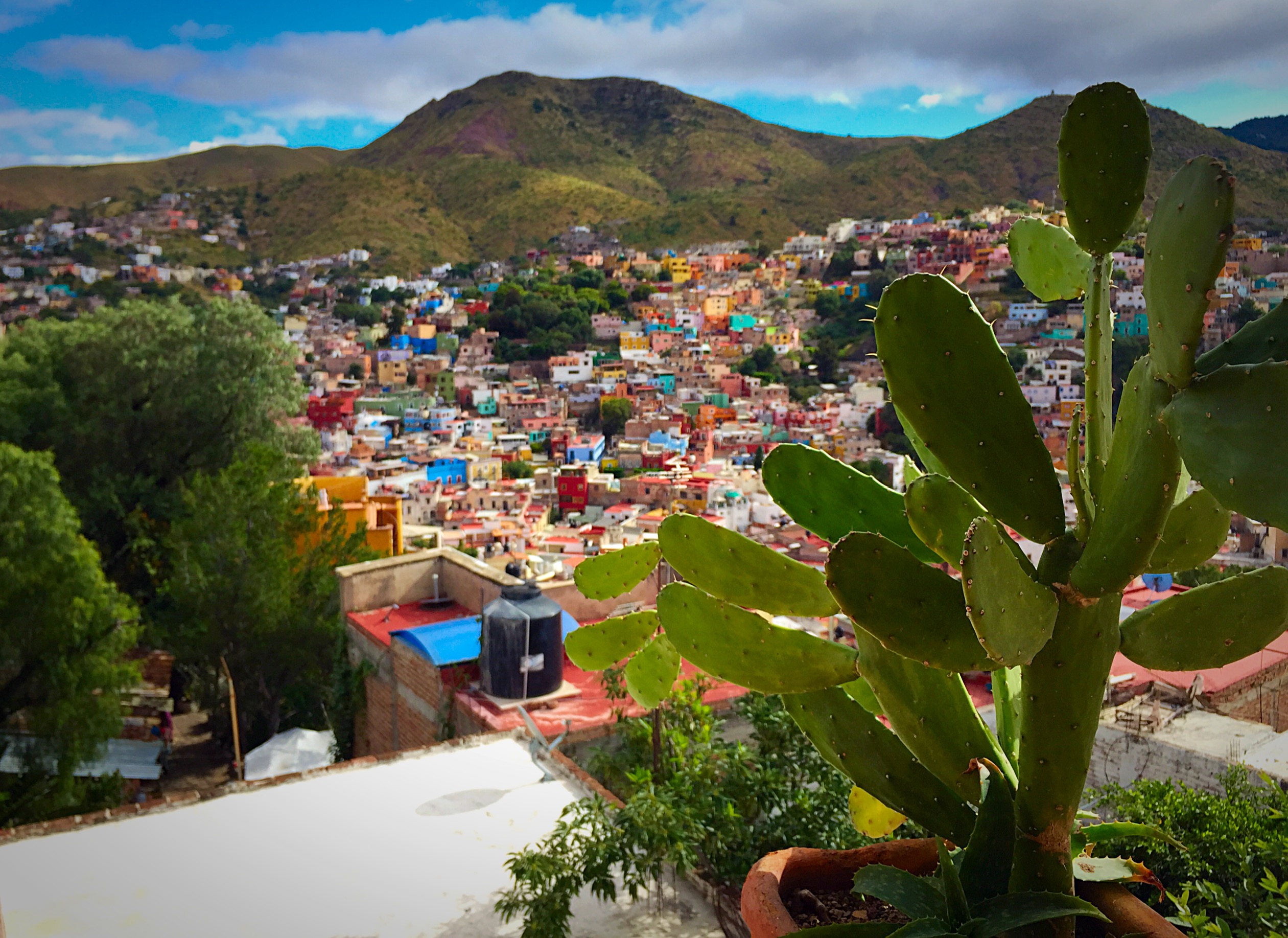 Casa Zuniga Might Be The Coolest B&B In Guanajuato - Trailing Rachel