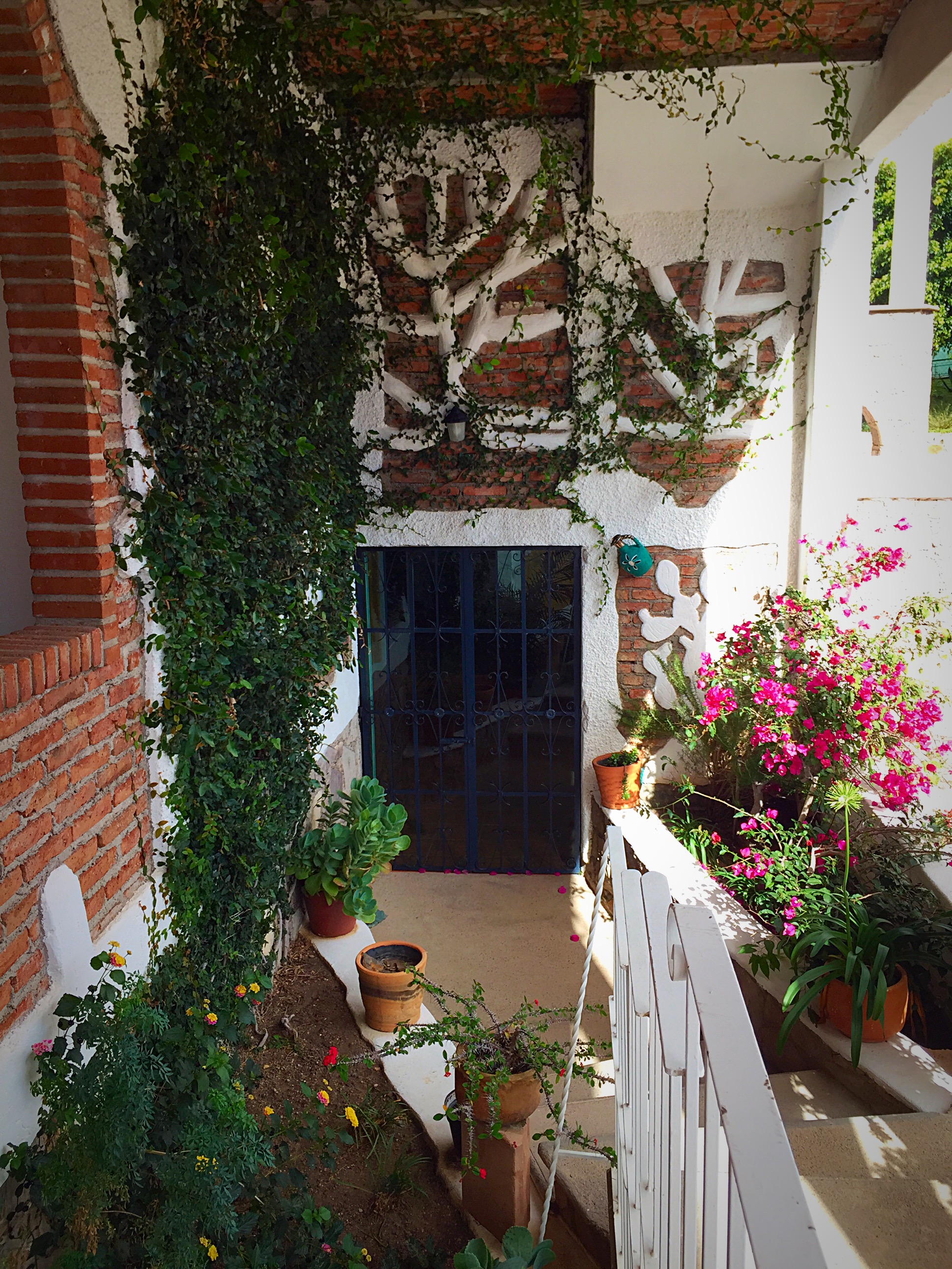 Casa Zuniga Might Be The Coolest B&B In Guanajuato - Trailing Rachel